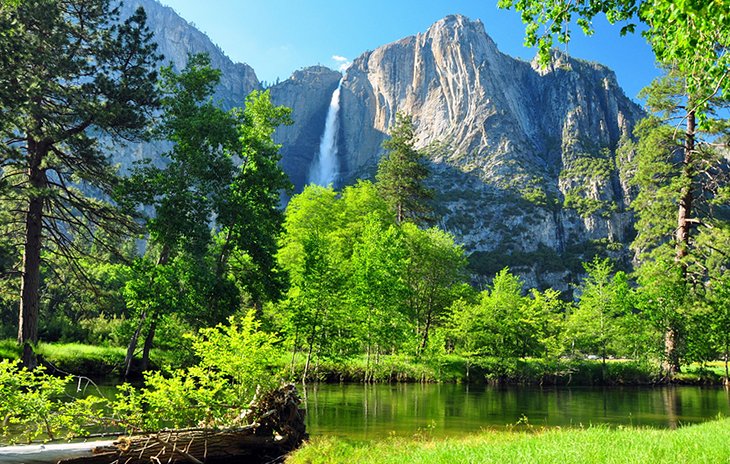 Best Locations in California for Viewing